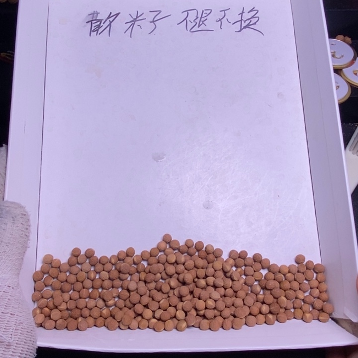 兴***岛桃核手串纯野生散籽