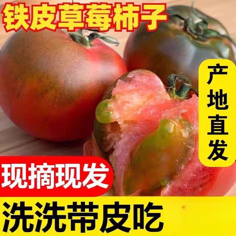 黑龙江水果正宗东北草莓铁皮西红柿新鲜自然熟生吃番茄柿子