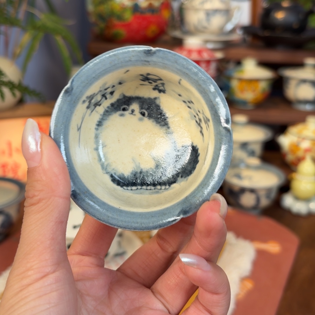 杯杯杯杯杯杯杯716