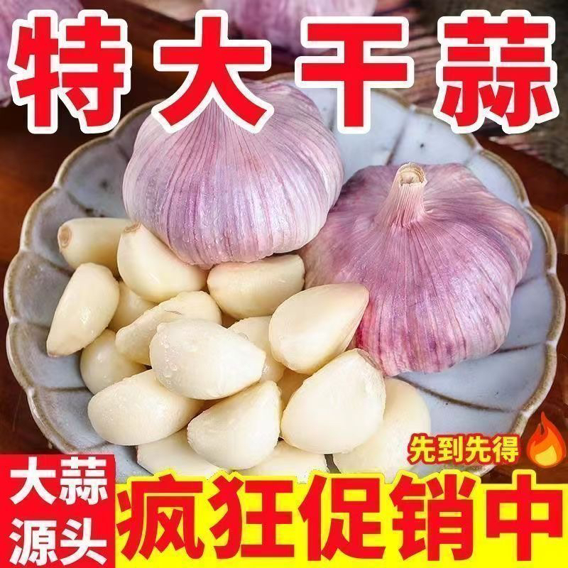 大蒜新鲜现挖香辣饱满可做调味农产品天然绿色