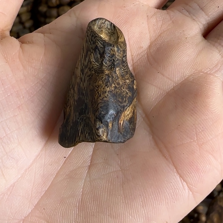 捌***半珠串奇楠沉香高油壳子3.78克