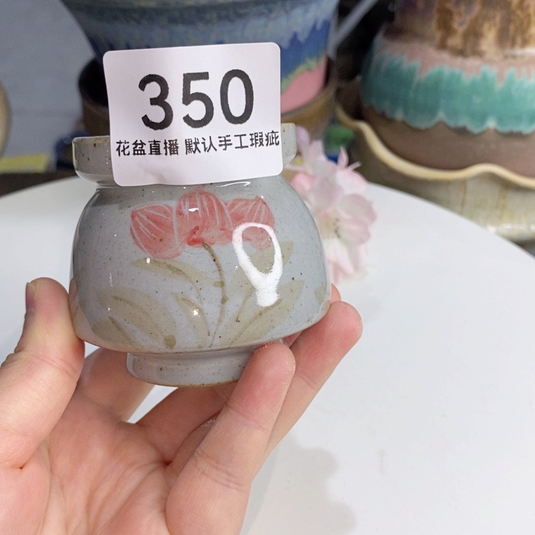 花盆花盆花盆花盆