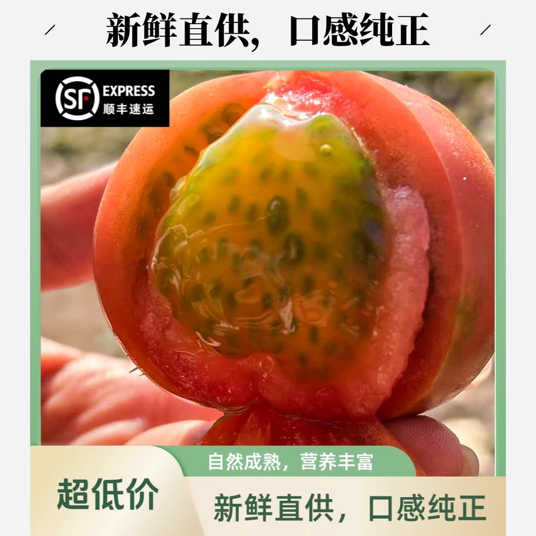 【明天到】草莓番茄/铁皮西红柿净重4斤皮薄沙瓤爆汁酸甜可口生熟两吃自然成熟顺丰包邮山东省