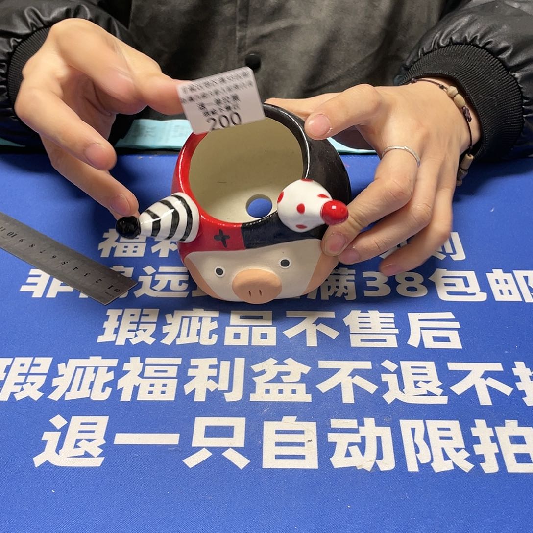 红陶特价微瑕疵不退不换200