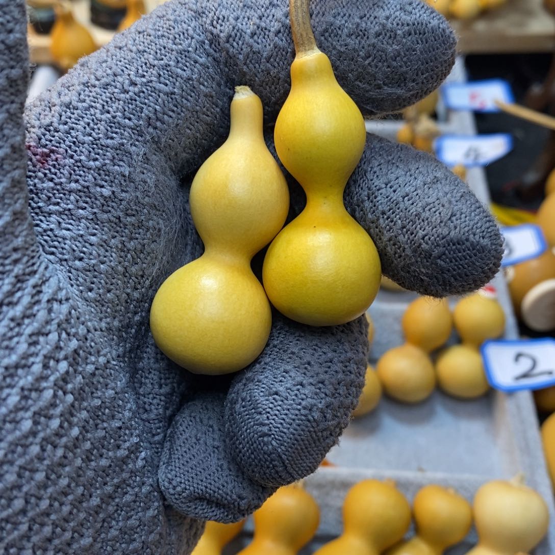 哈*直播间手把小葫芦