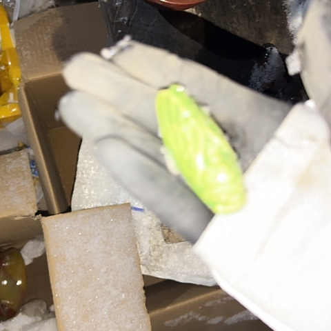 顺***美瓷片国营厂库存绿色