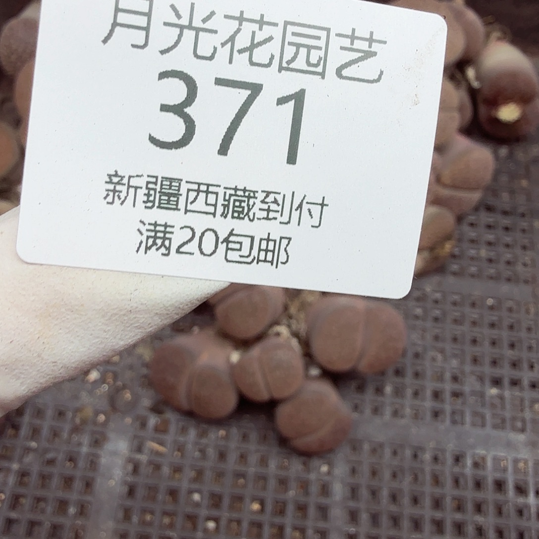 ****哈哈哈你真的会有很多371你