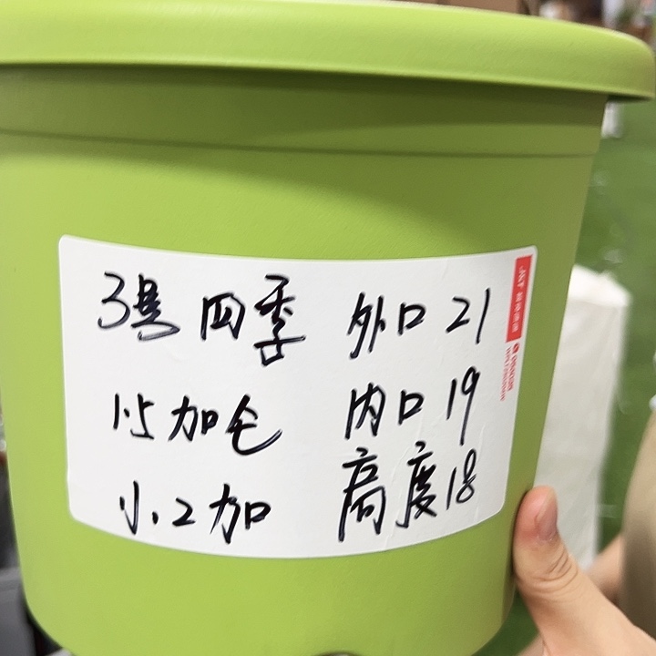 特价3号四季口21高18灰色无托10个