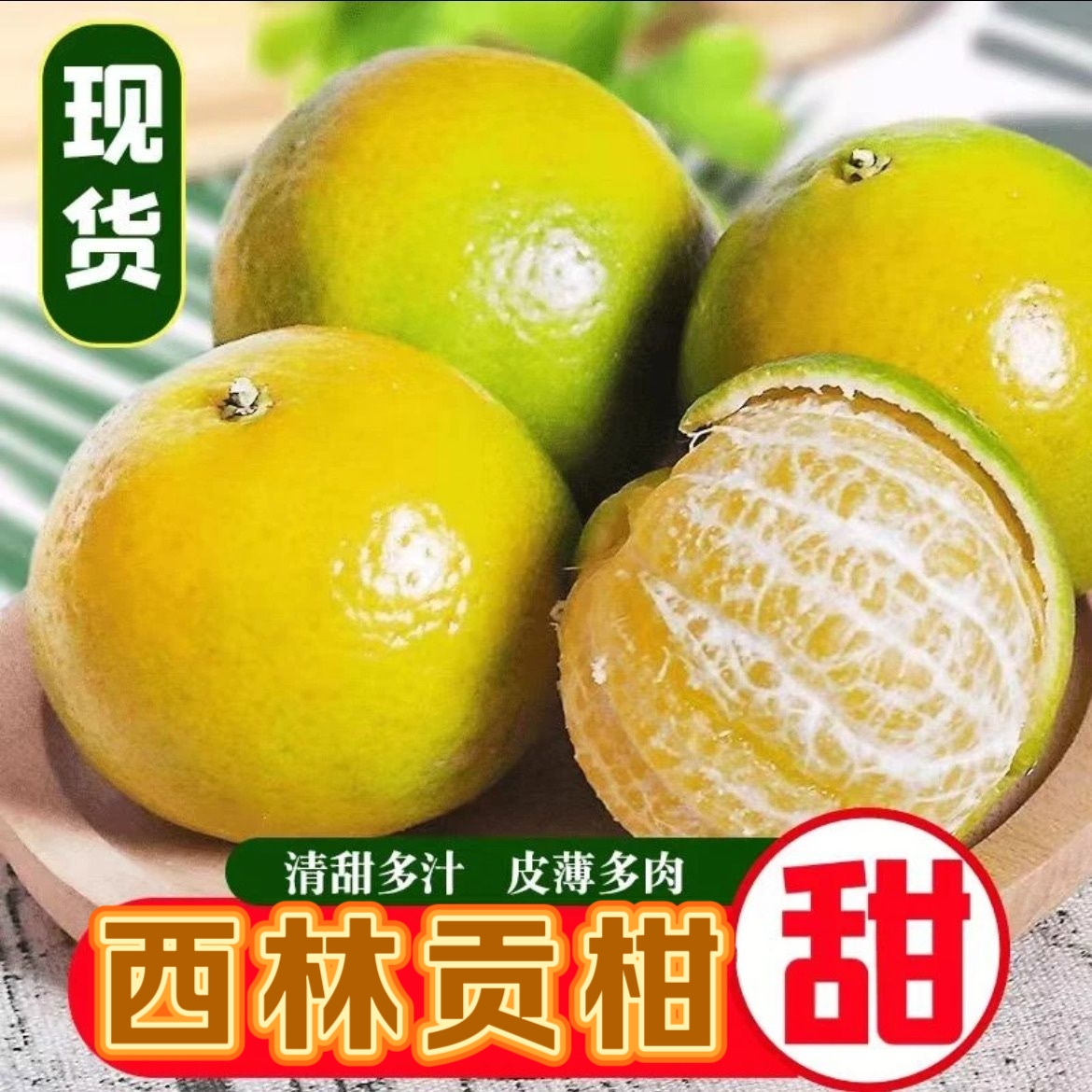 广西西林贡柑现摘新鲜当季水果