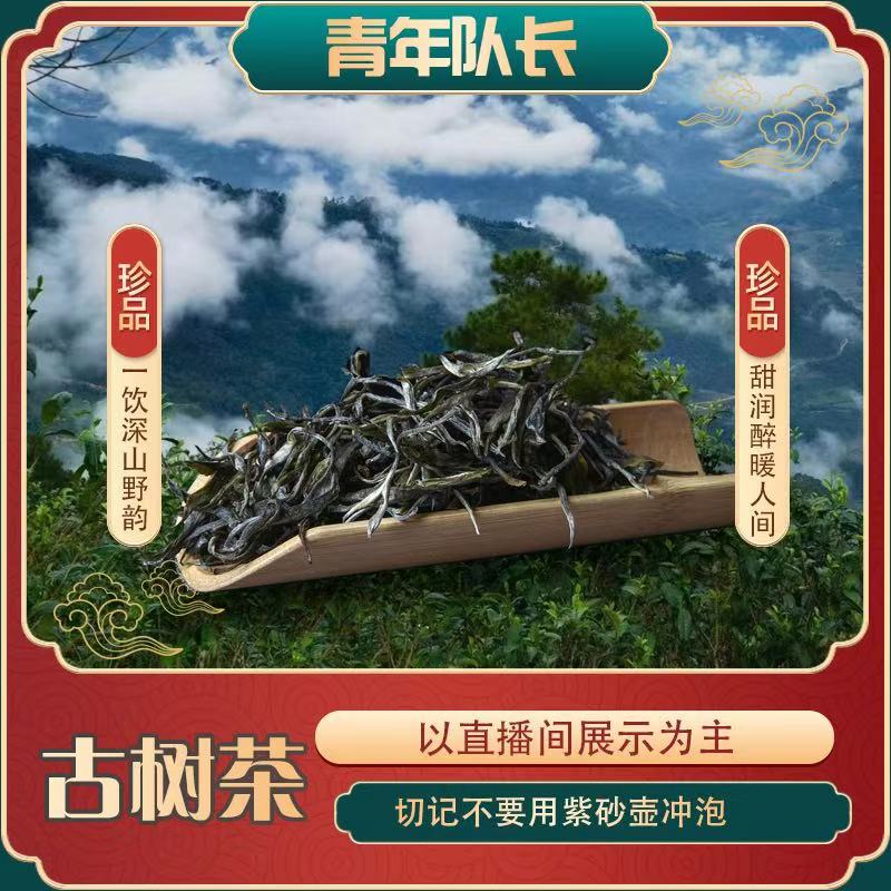 2023年冰岛老寨tl 生茶 散茶 500g