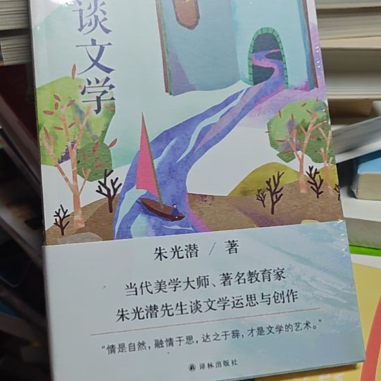 谈文学平装库存书库存书