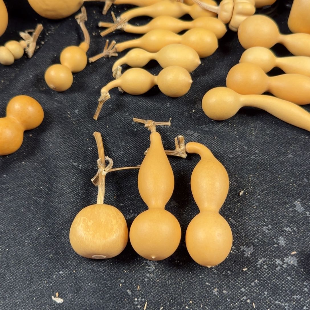 河***枣葫芦葫芦葫芦葫芦葫芦葫芦葫芦