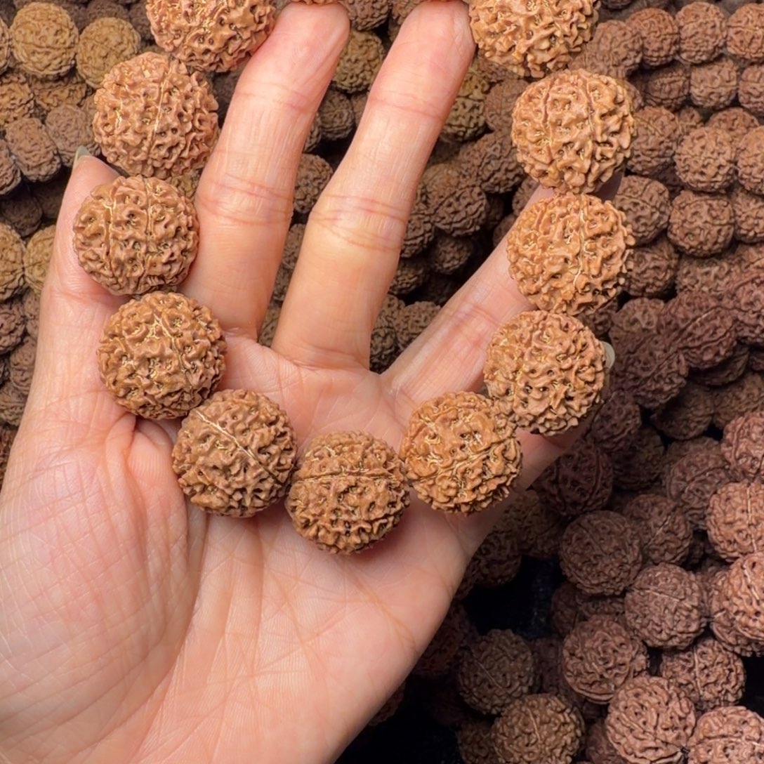 手串金刚菩提8瓣卡22尺，19号