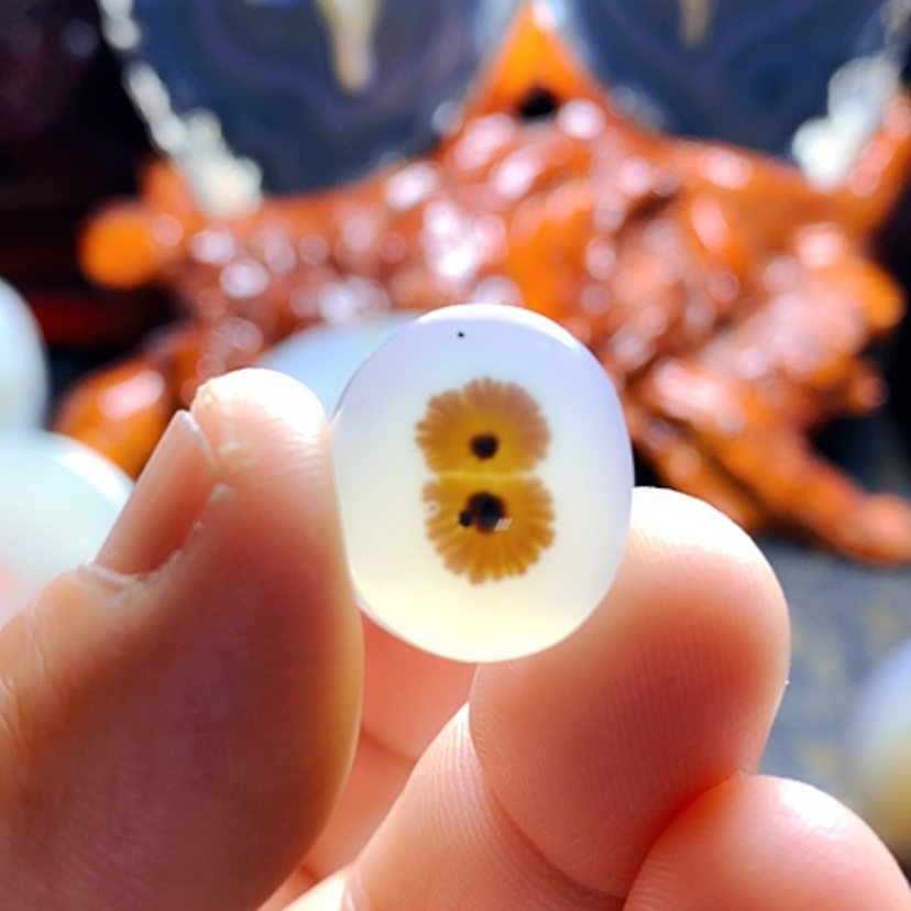 【闪购商品】玛瑙/玉髓颈饰未镶嵌