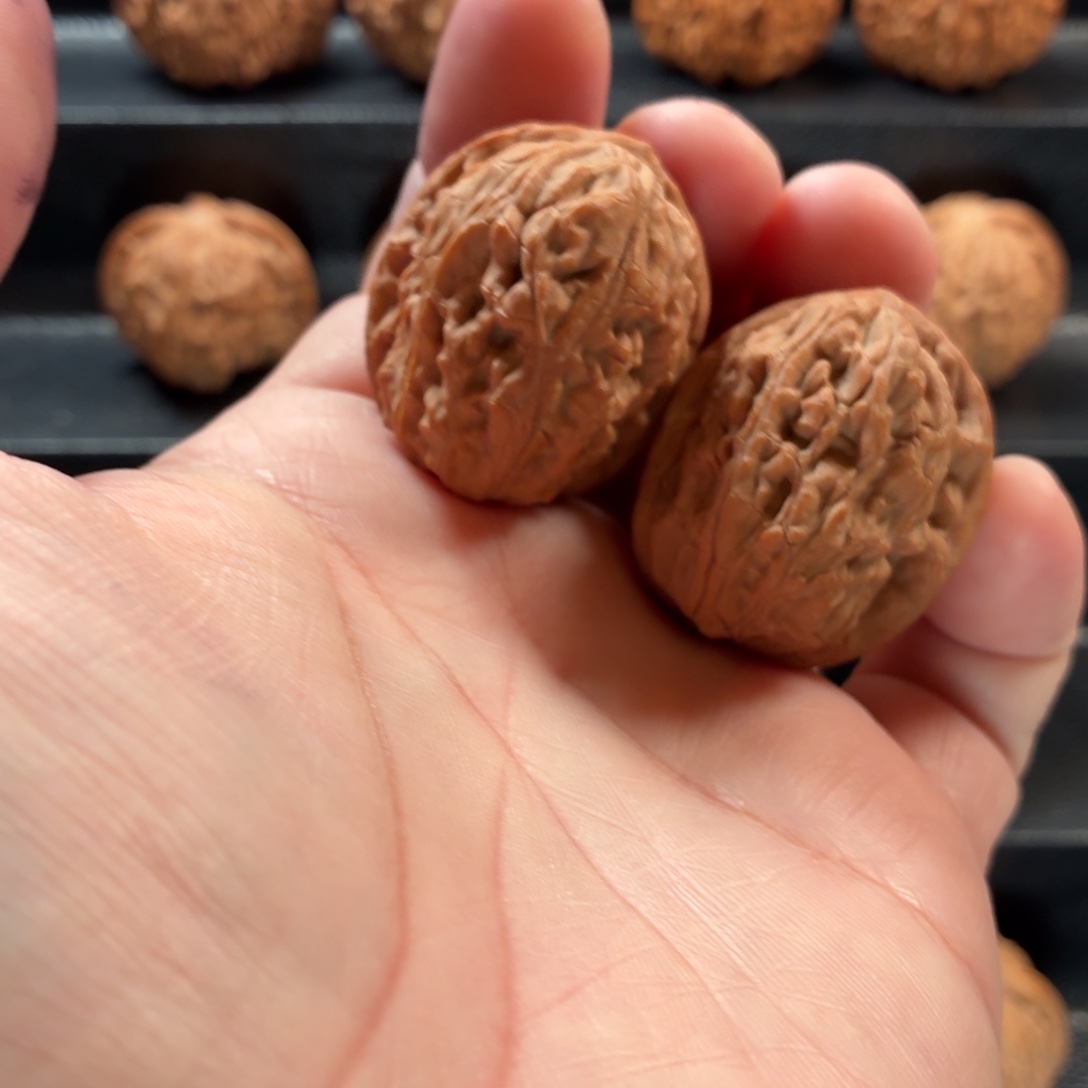 把件桃核野生原树吸金兽轻微磕尖31