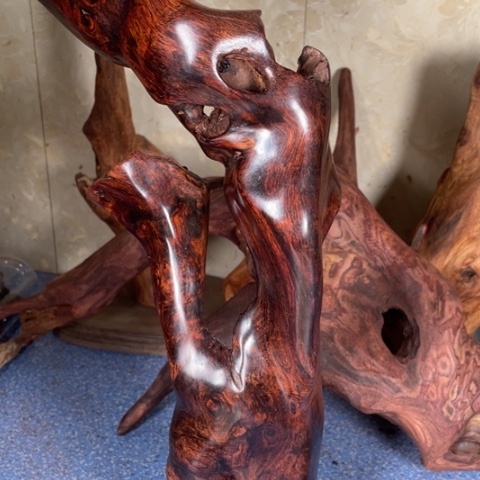 黄花梨/降香黄檀凯*