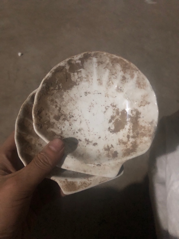 贝壳小盘12.5厘米2个