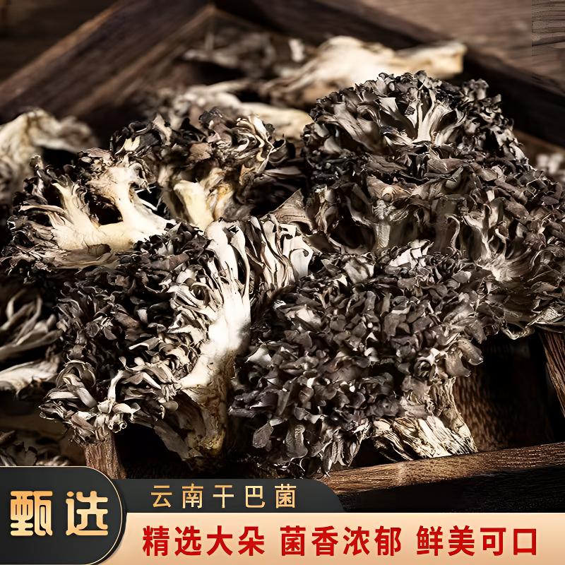 【云南特级灰树花干巴菌】干货新货云南土特产无硫