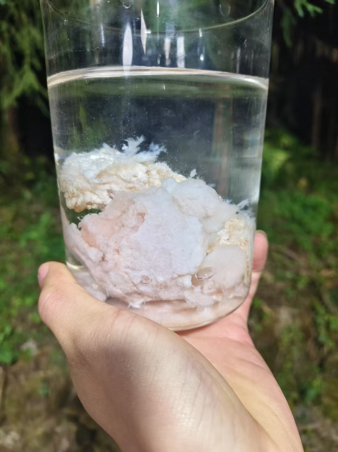 1【天-然-石-太-岁】净含量50g-1500g【小蓉现收】