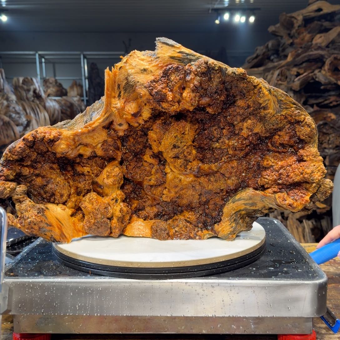 微***笑木王一刀琥珀木摆件64