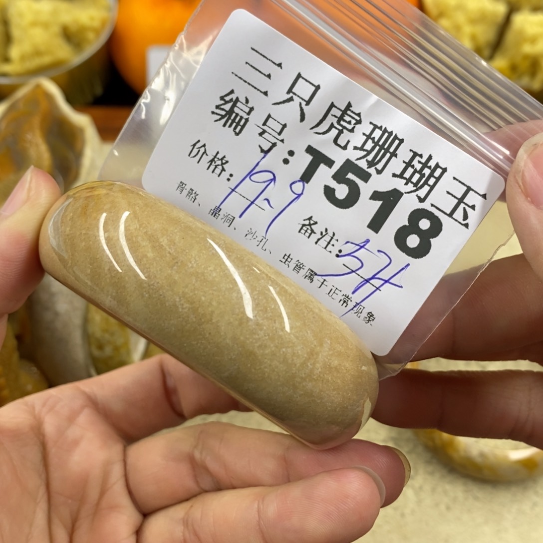 硅化珊瑚（珊瑚玉）1未镶嵌生**息