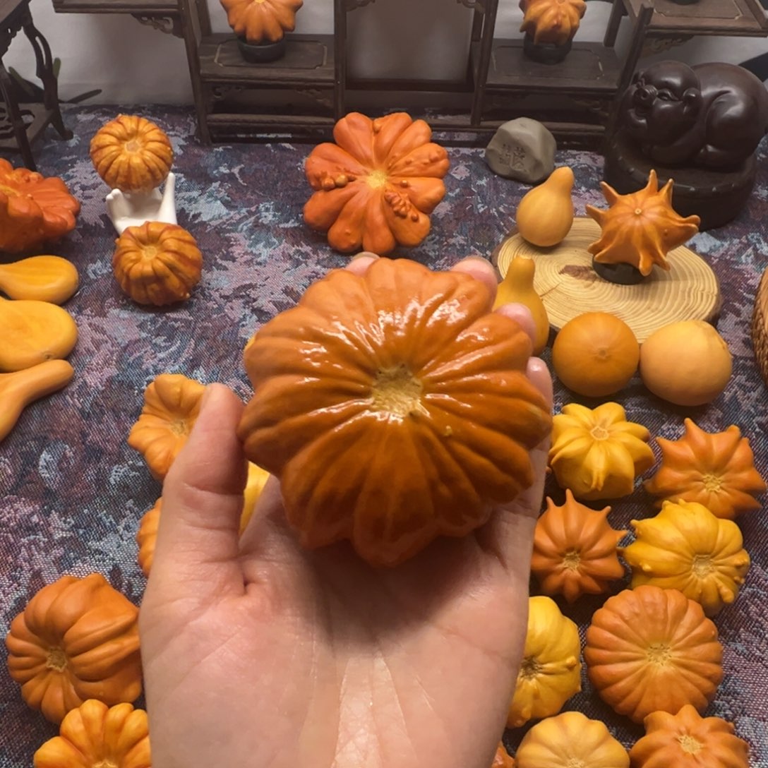 墨西哥葫芦小花花