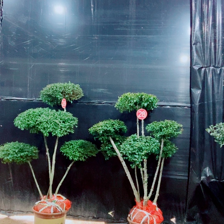 一物一拍一物一拍