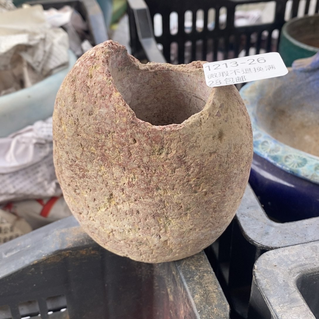 26号多肉盆口径5小可爱