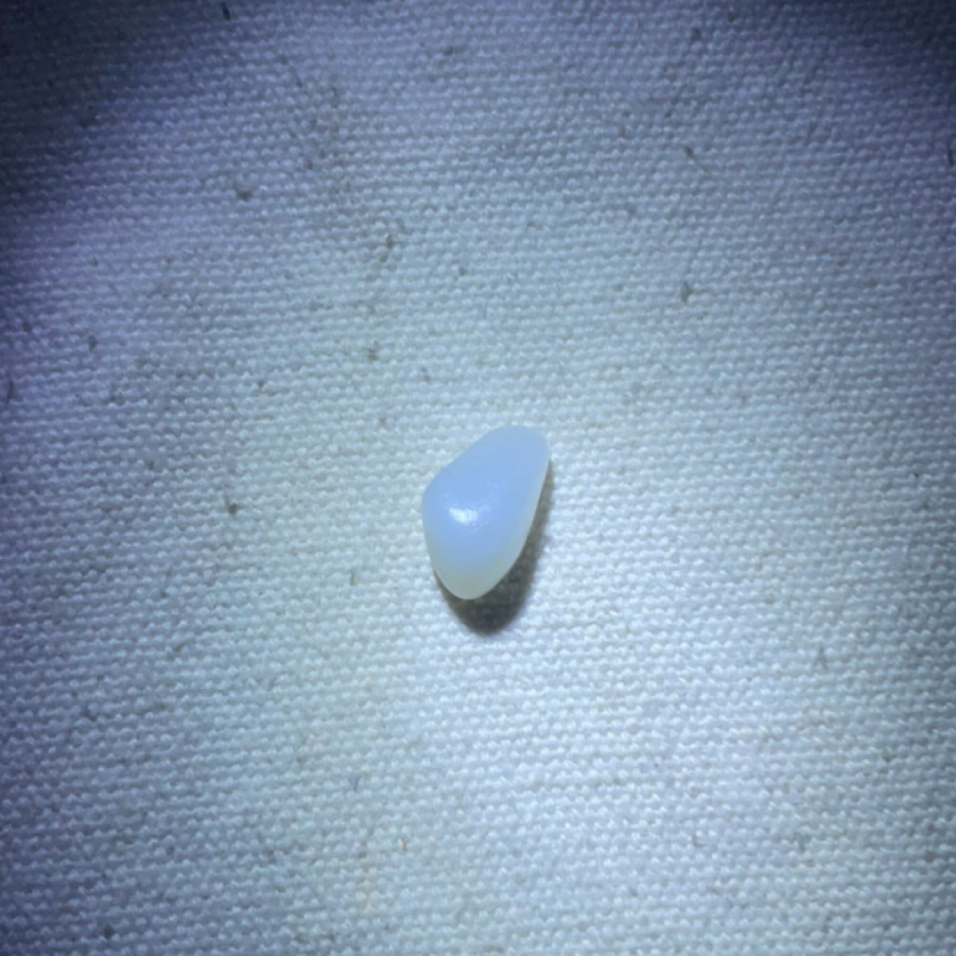 和田玉光白子项链子