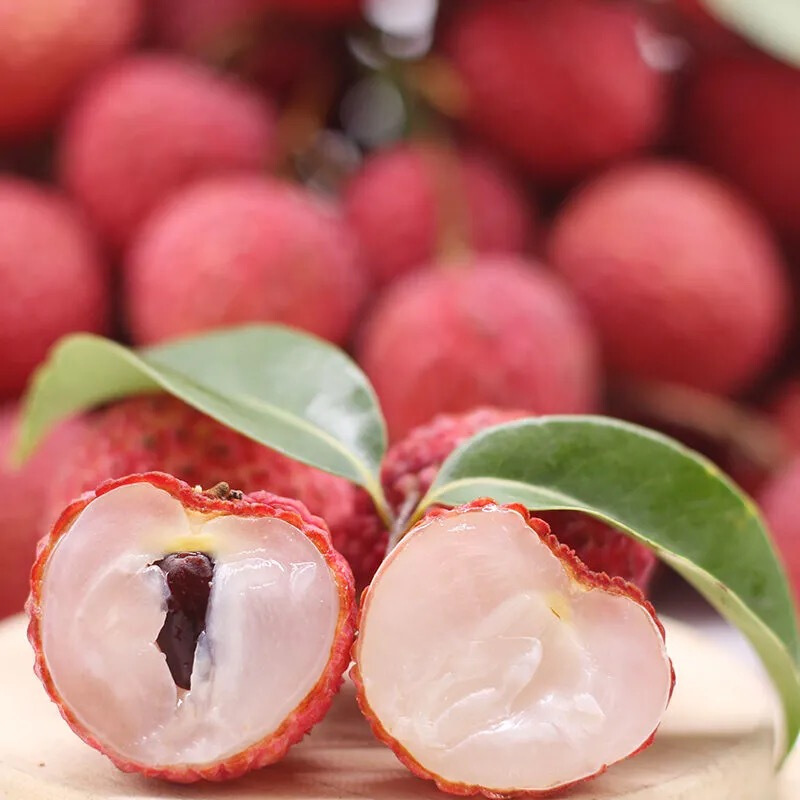 【直播间福利】百年老树爆甜荔枝自家果园现采现发当季水果送礼首选