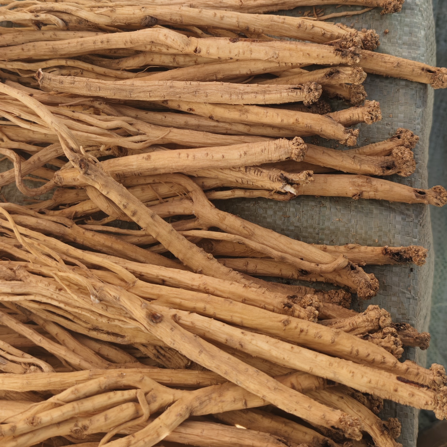 甘肃定西白条党参无硫熏自然晾晒[大条头部直径0.8-1cm]