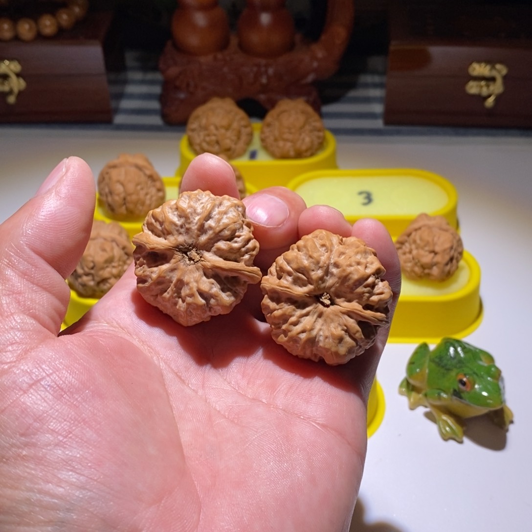 柏香籽/百香籽把件念***。