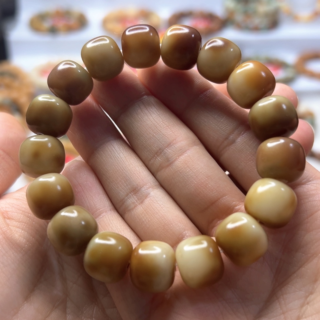 菩提根/象牙果手串?***?