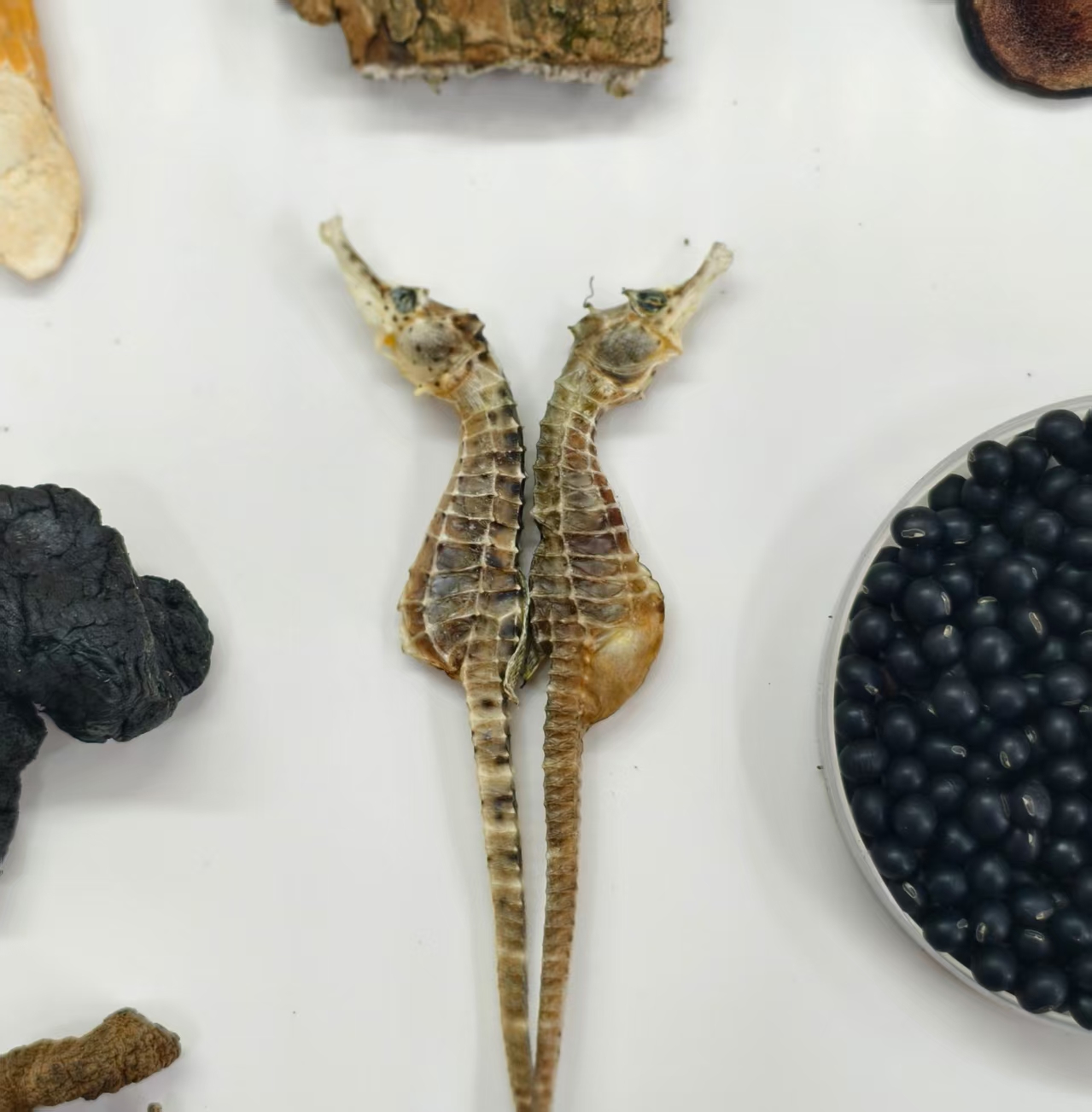 【马伍团】精选大海马杜仲汤料包