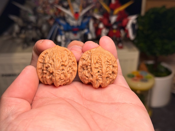 【3】35 野生原树“兴隆古树马蹄”（级别镶黄旗）