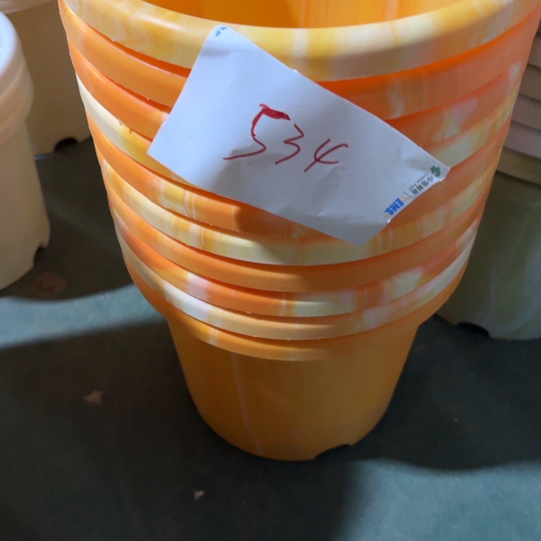 编号534-10个口径29深橘色