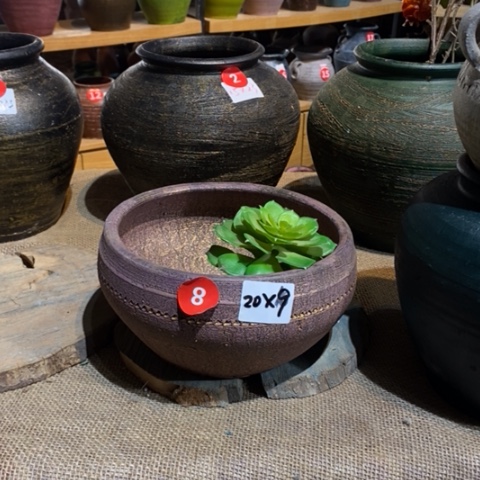 【闪购商品】正品新款