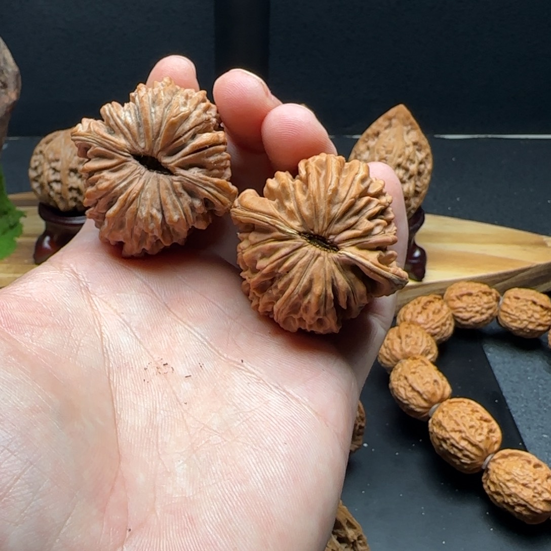 核桃四座楼全品无修