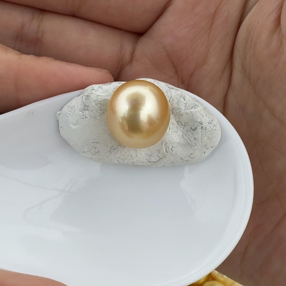 海水珍珠裸珠金珠椭圆无暇极强光12.6mm