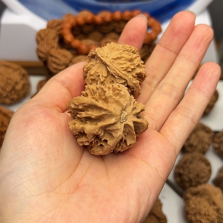 秦岭山脉的形成过程