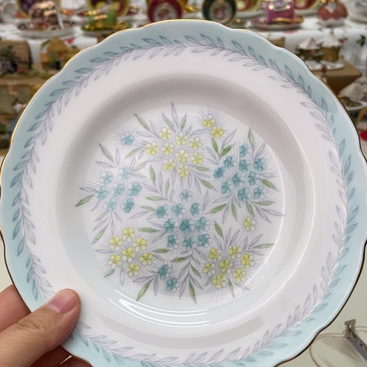 盘维多利亚欧洲中古