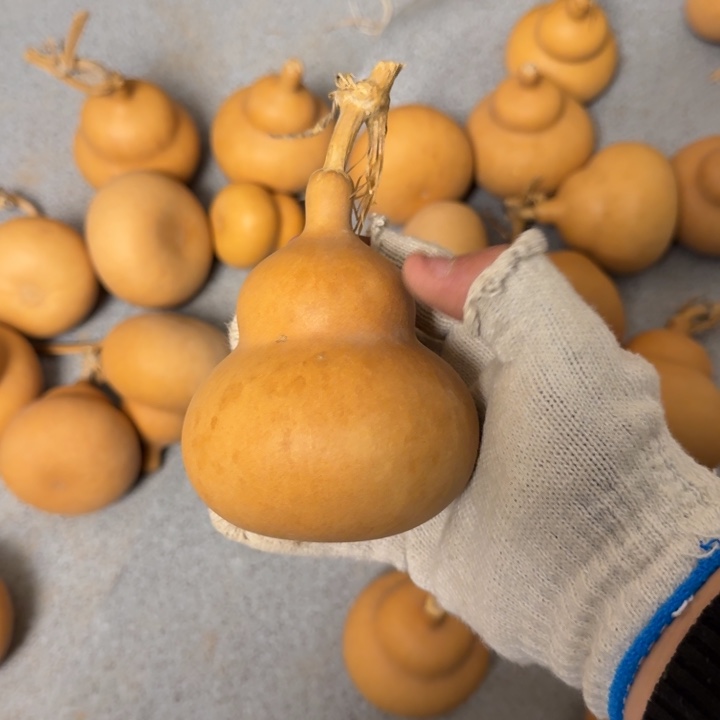 葫芦9.9.9.9.9.9.9.9