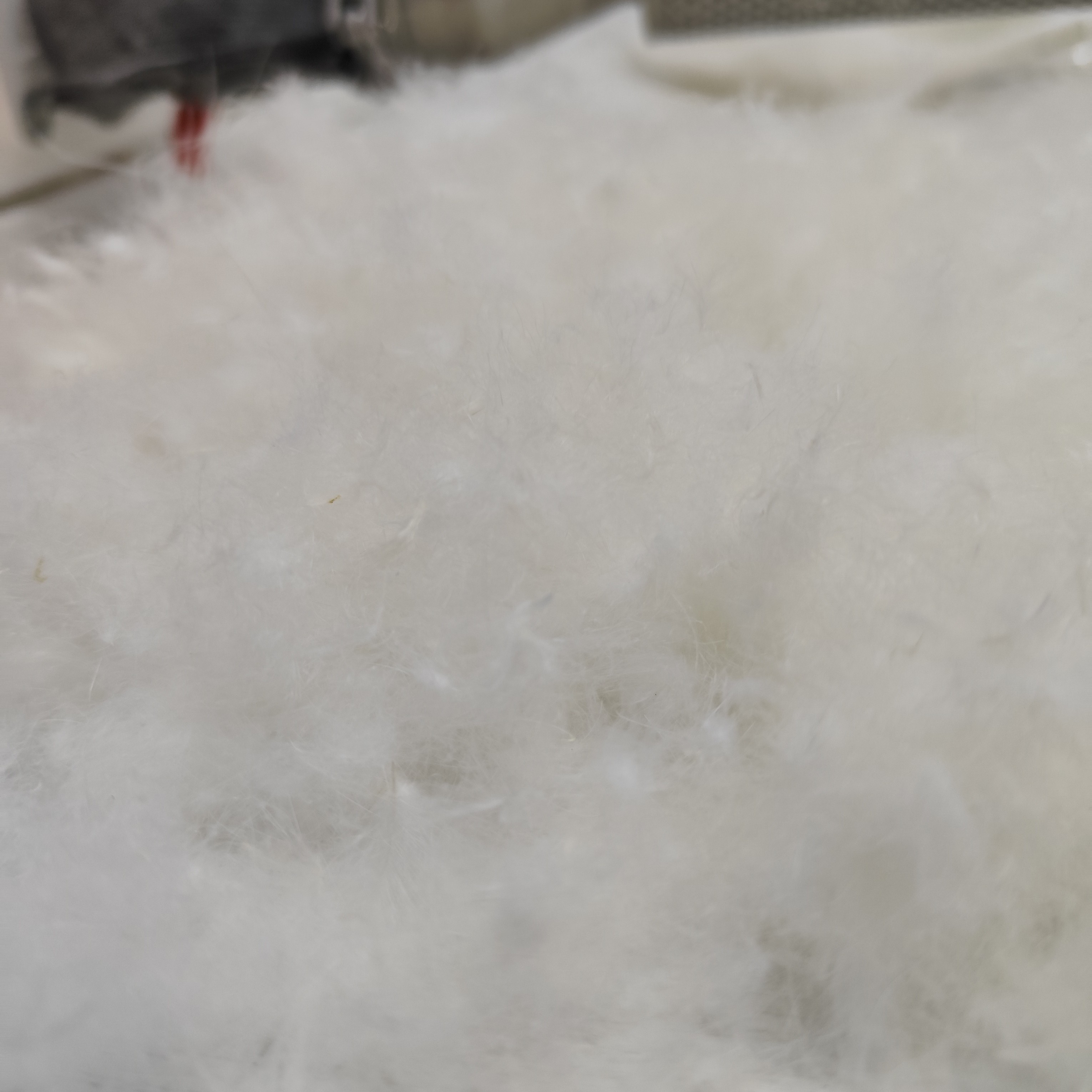 高品质羽绒填充物