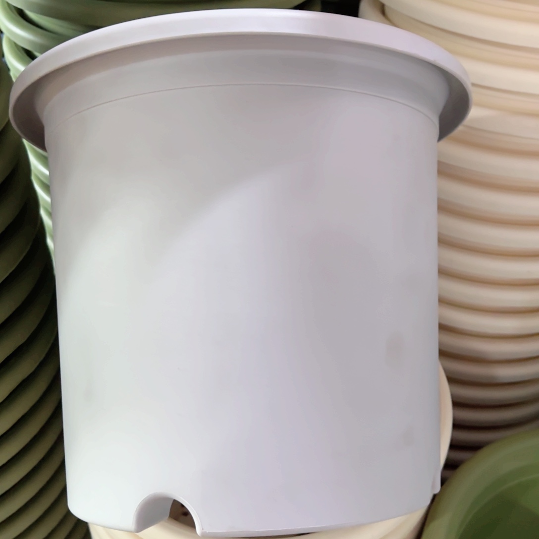 树脂四季6#无拖灰白5个