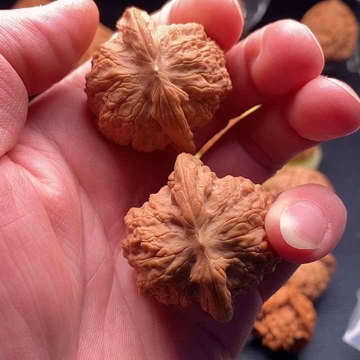 把件文玩核桃闪电57