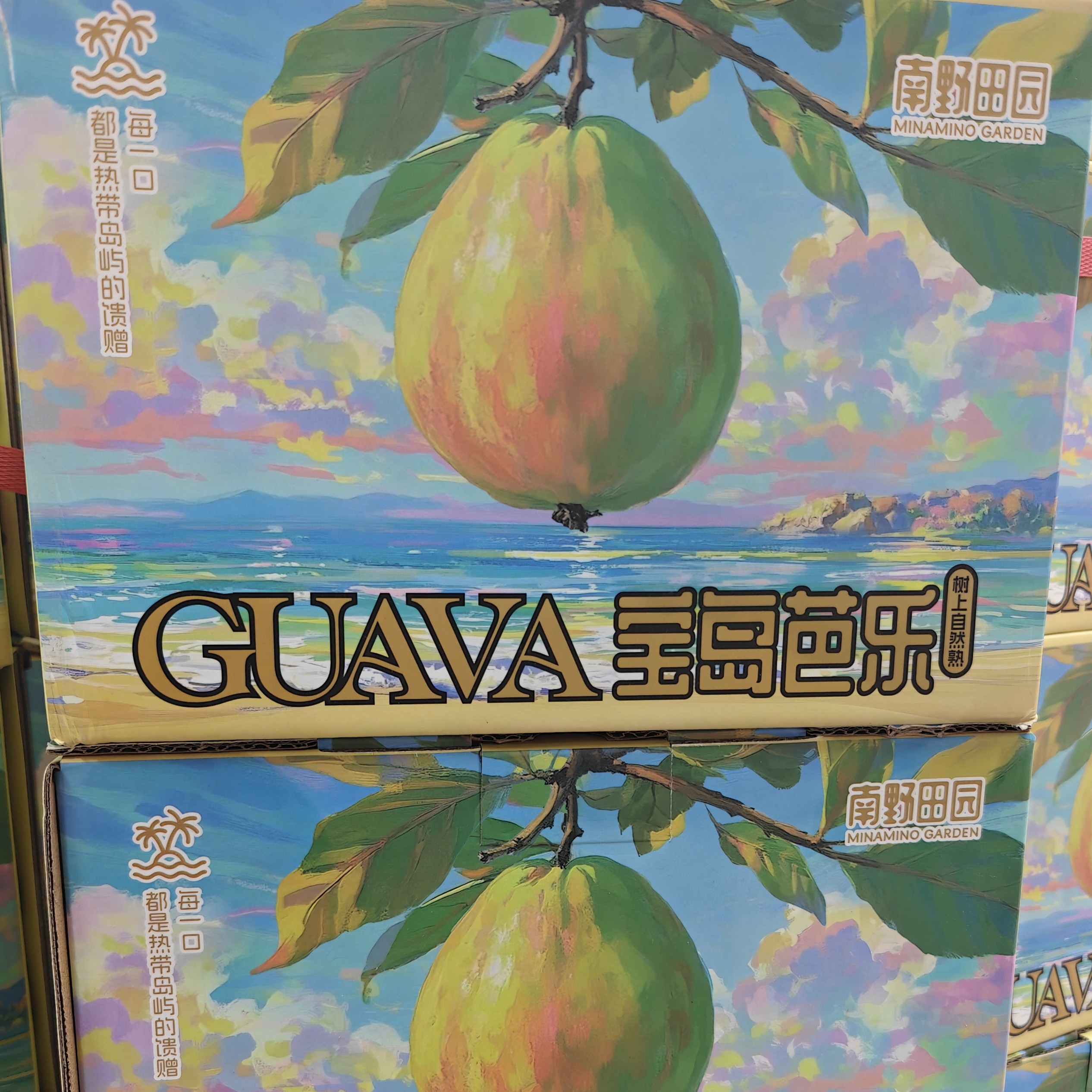 【达吾水果】树熟草莓宝岛芭乐毛重3斤手提礼盒装（同城骑手配送到家）