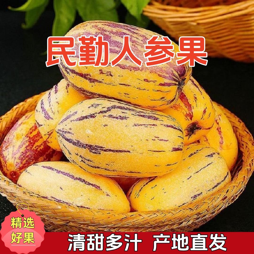 【自然树熟】甘肃民勤沙漠人参果清甜多汁产地直发纯白果包赔