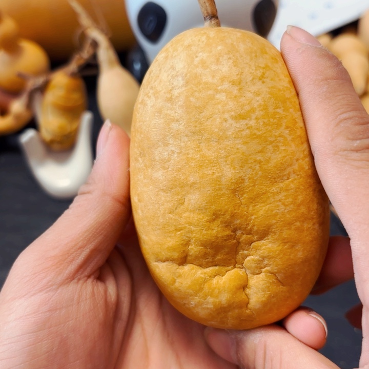 ✨***弟8888888888888888