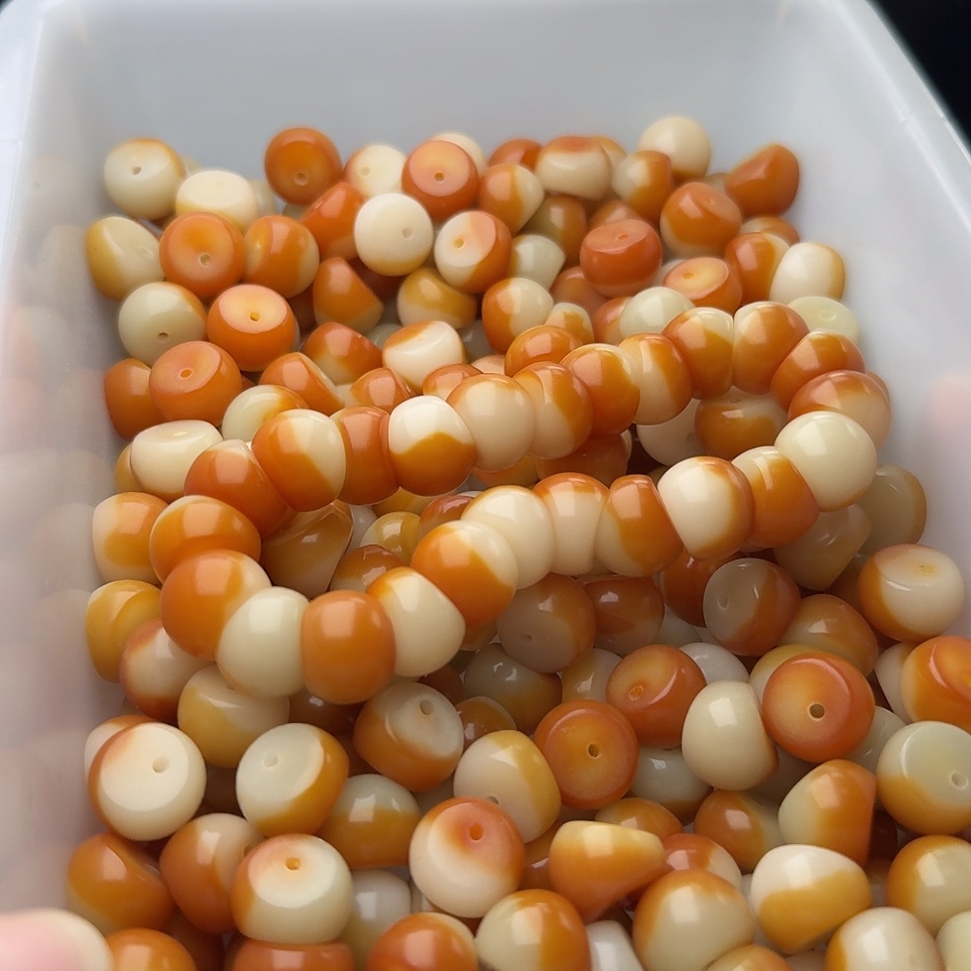 吊坠菩提根/象牙果50 颗蛋黄蒜瓣 14