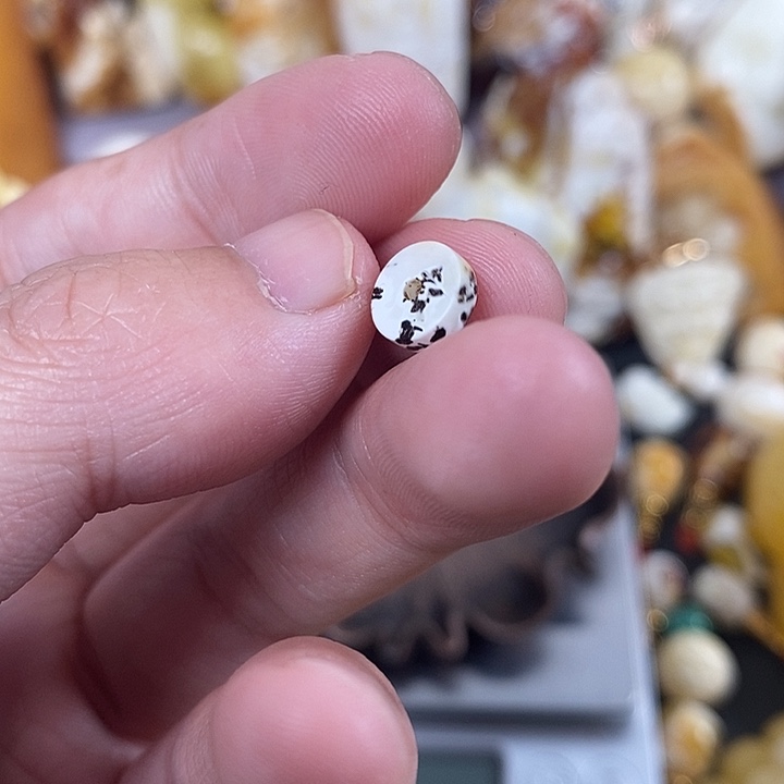 琥珀未镶嵌珠宝奇石我